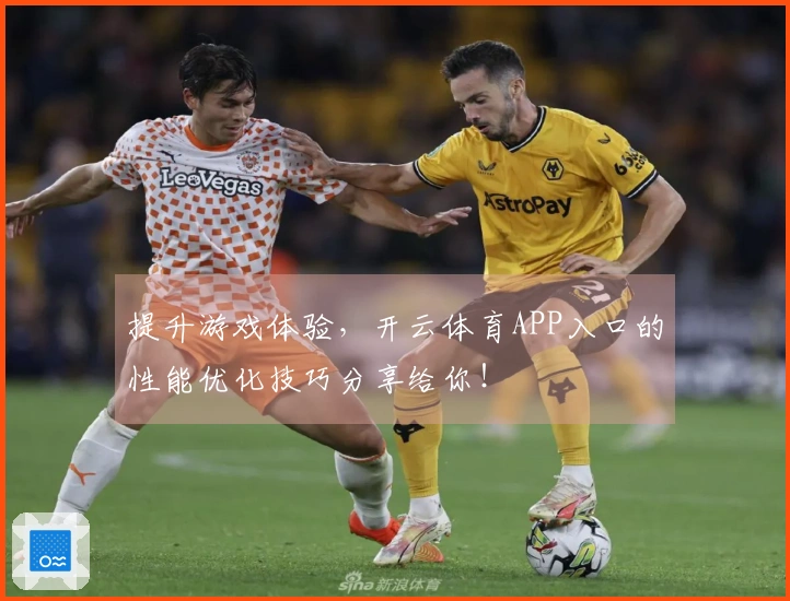 提升游戏体验，开云体育APP入口的性能优化技巧分享给你！