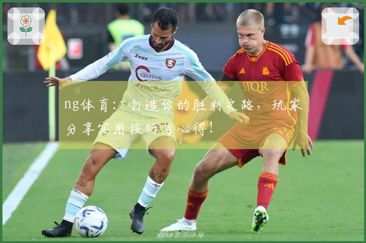 ng体育：打造你的胜利之路，玩家分享实用技巧与心得！